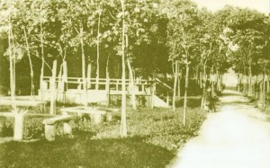 detlib_sosnovskiy-garden