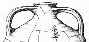 korchaga-gnezdovo_shmidt-cult