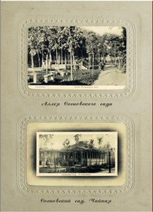 sosnovskiy-garden_album4-1