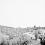 Еще в 1978 году на склонах Чертова рва попадались кусты можжевельника.