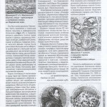 j-czajewski_kray-smolenskiy-6-2011_p19